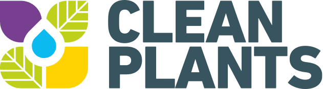 Clean Plants